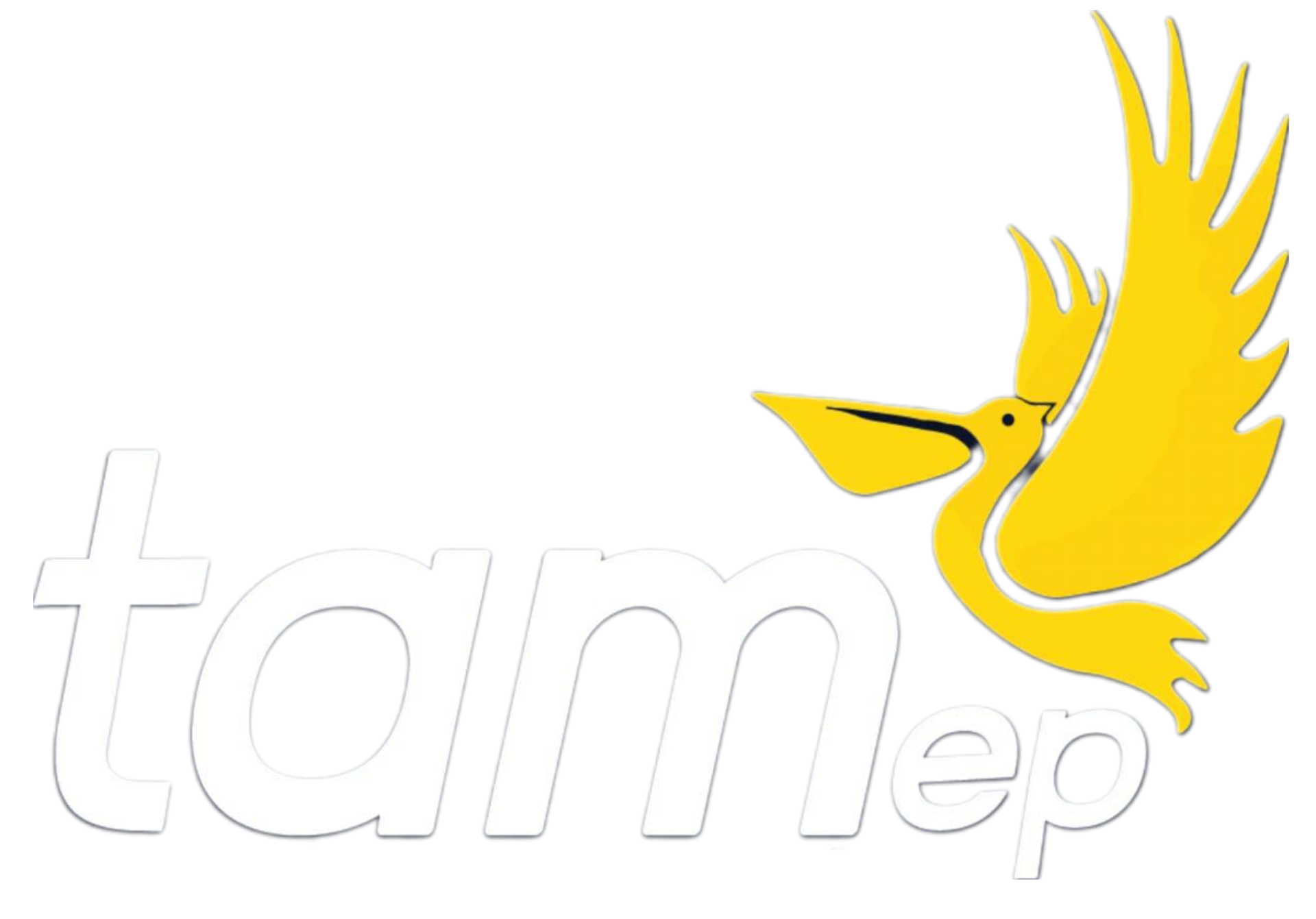 Logo TAM